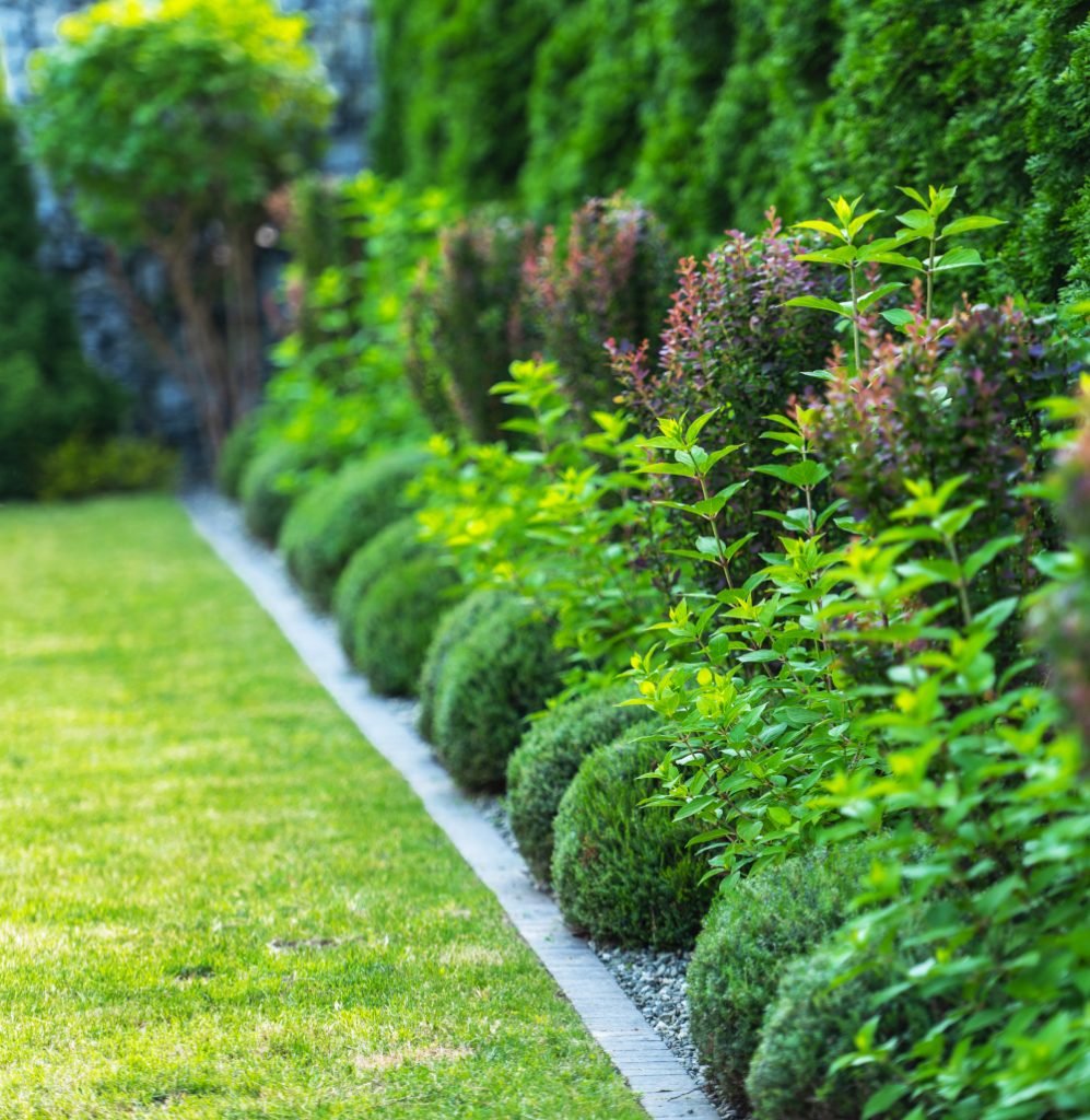 neat garden maintenance
