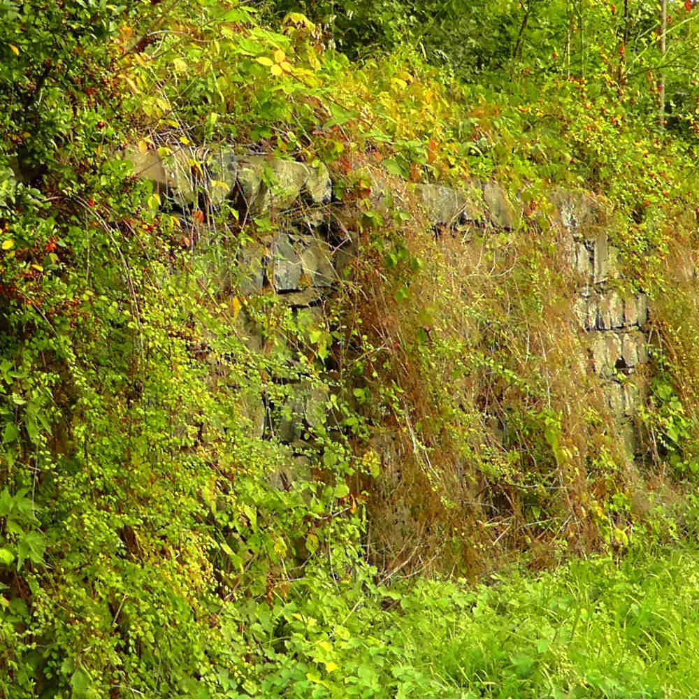 property-garden-clean-up-wexford-2