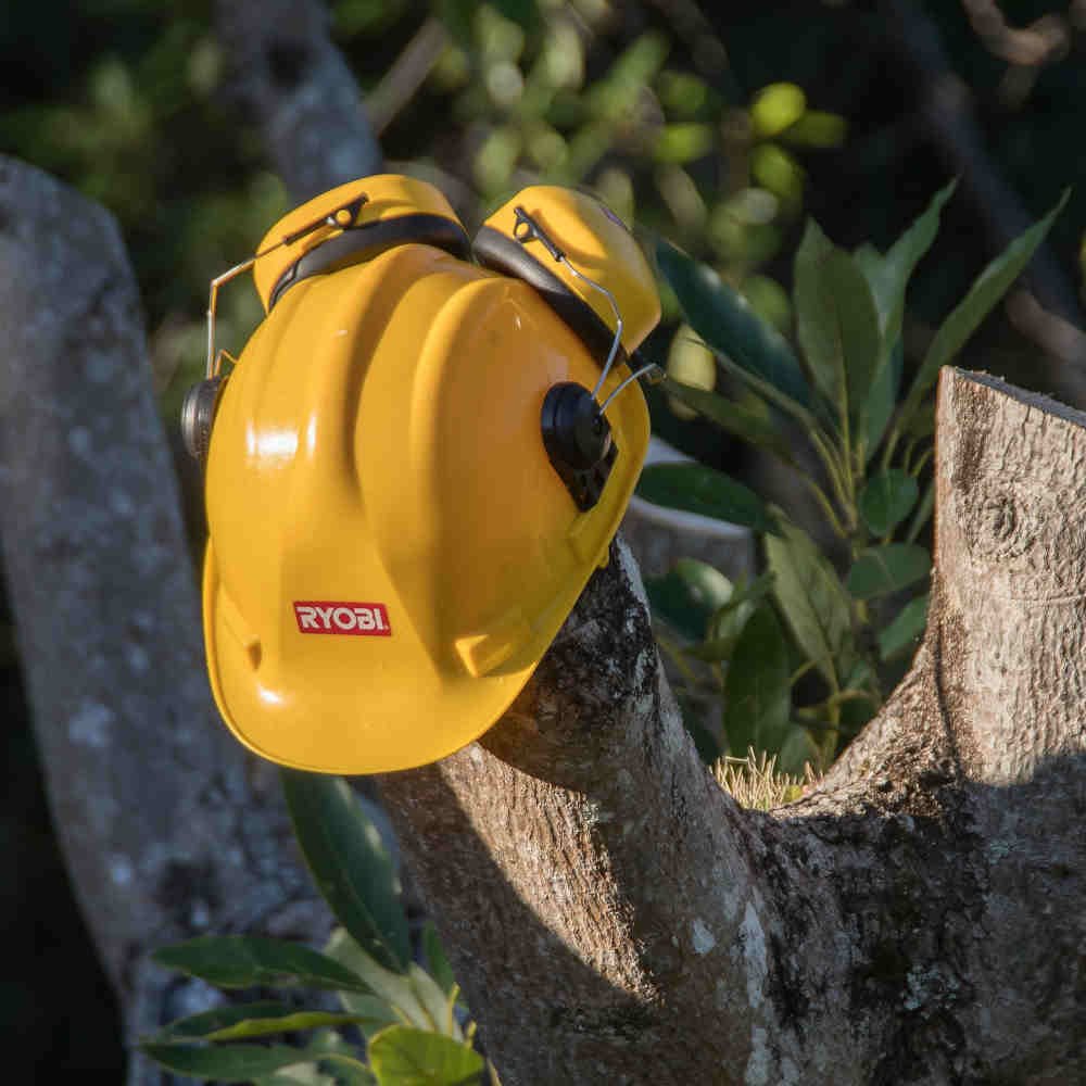 tree-removal-wexford 1