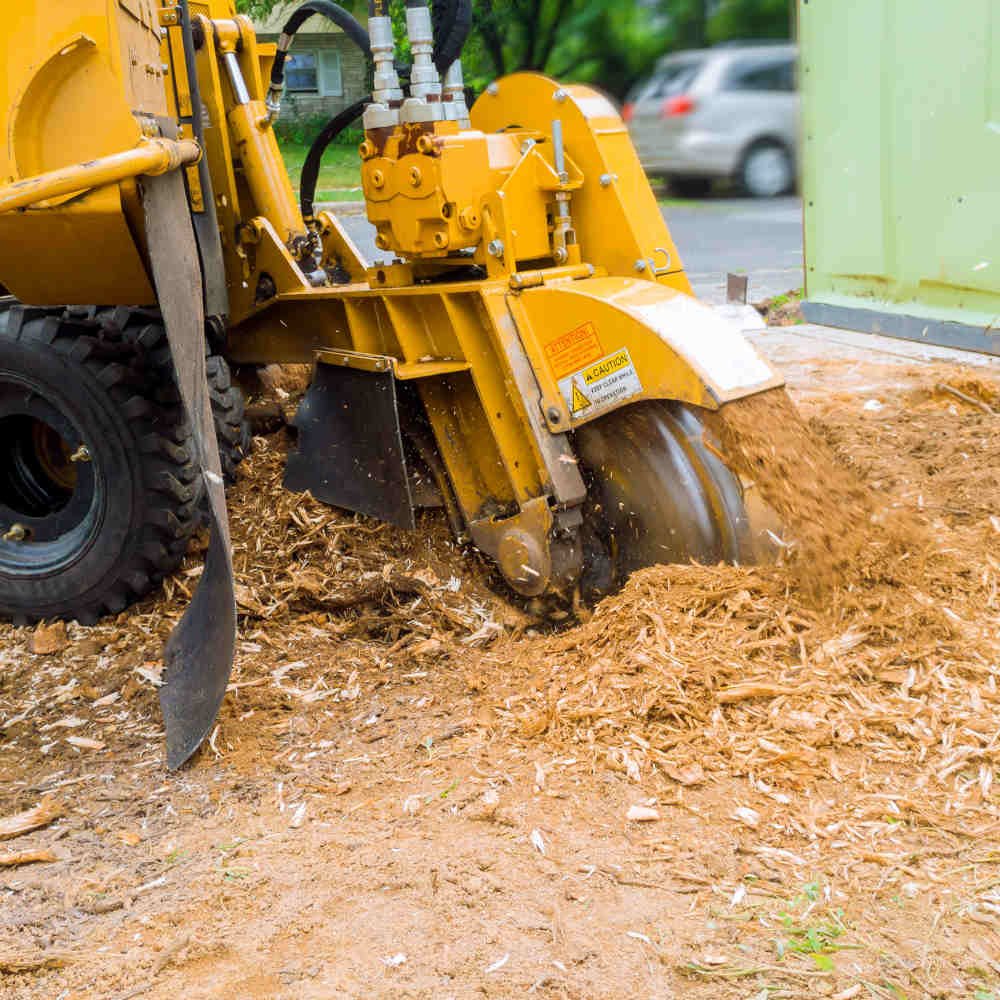 tree stump removal wexford 1